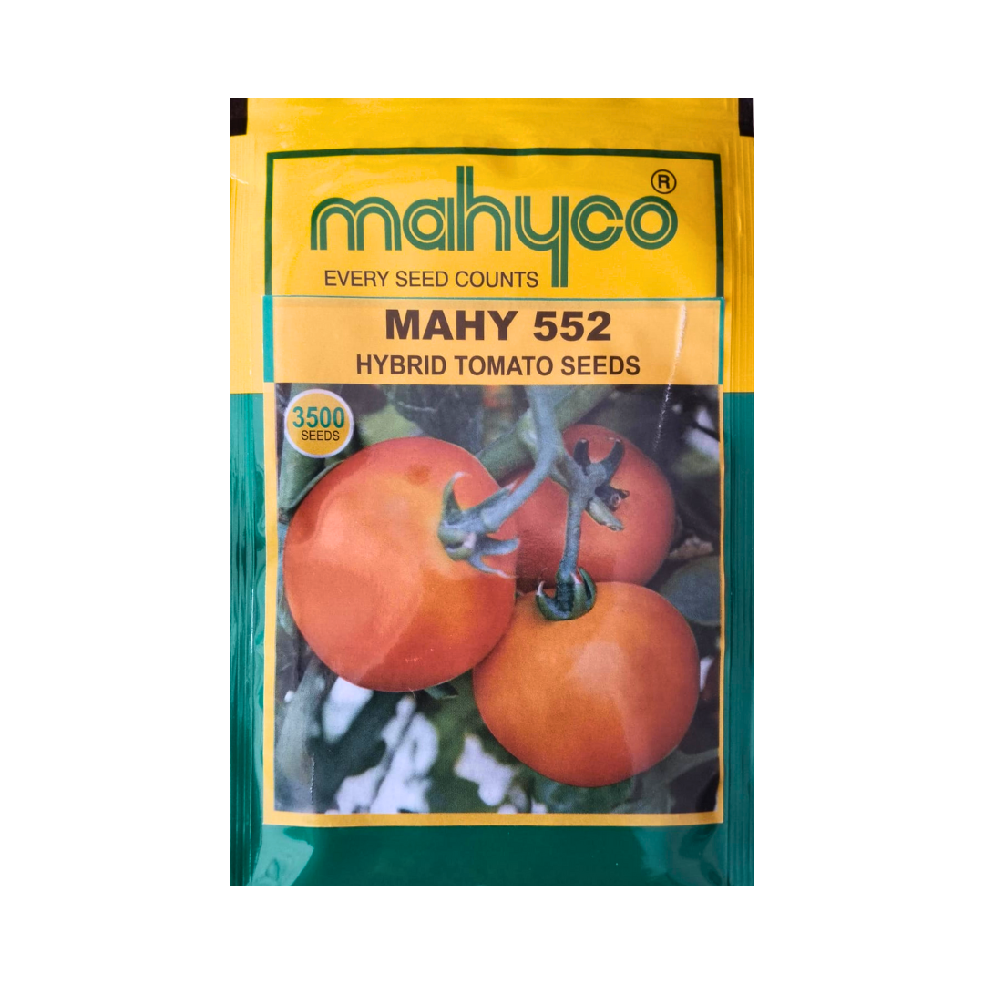 Mahy 552 Tomato Seeds - Mahyco | F1 Hybrid | Buy Online at Best Price