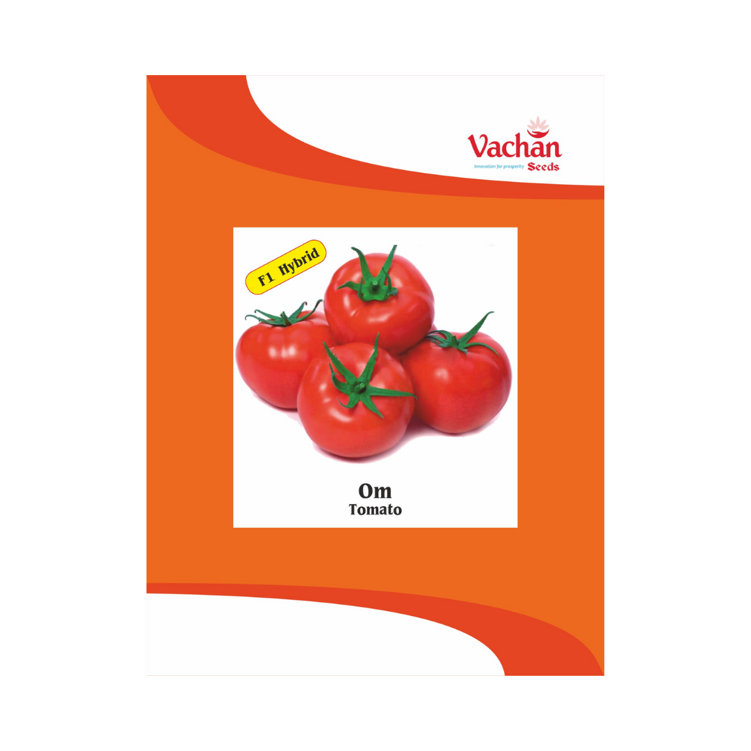 Om Tomato Seeds - Vachan | F1 Hybrid | Buy Online Now - DesiKheti