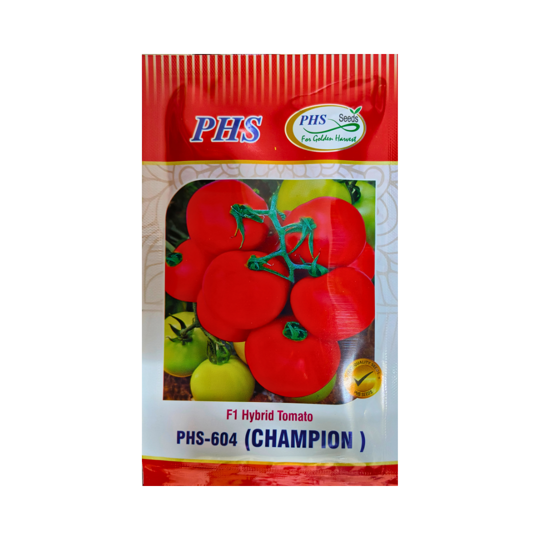 PHS-604 (Champion) Tomato Seeds - PHS | F1 Hybrid | Buy Online Now