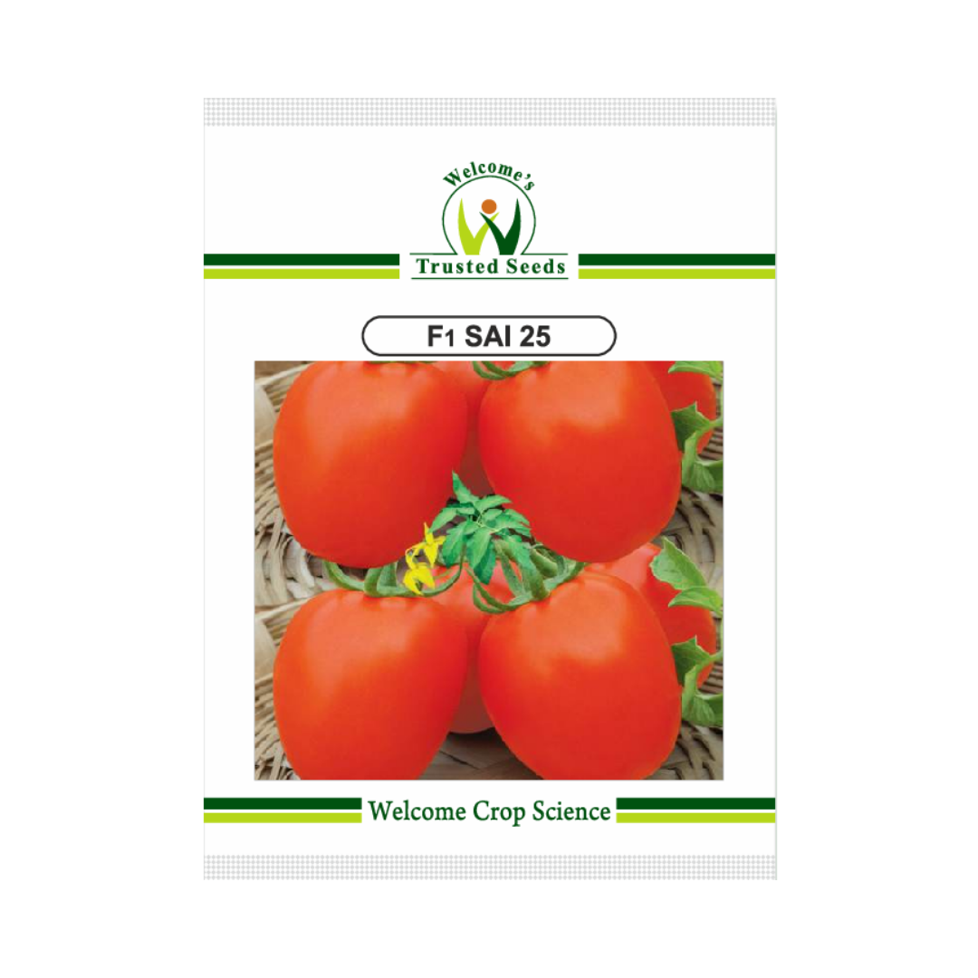 Sai 25 Tomato Seeds - Welcome | F1 Hybrid | Buy Online at Best Price