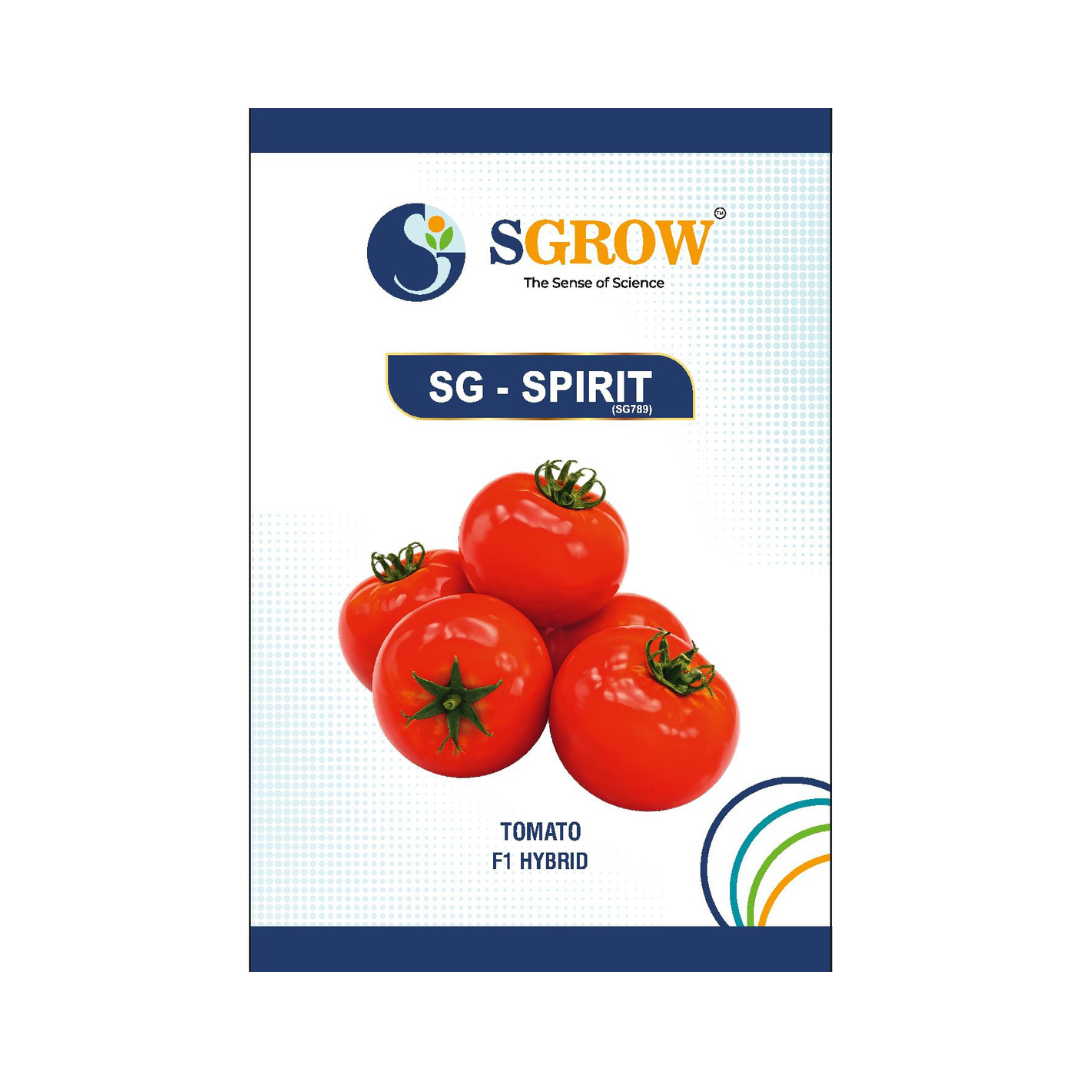 SG-Spirit Tomato Seeds - SGrow | F1 Hybrid | Buy Online at Best Price