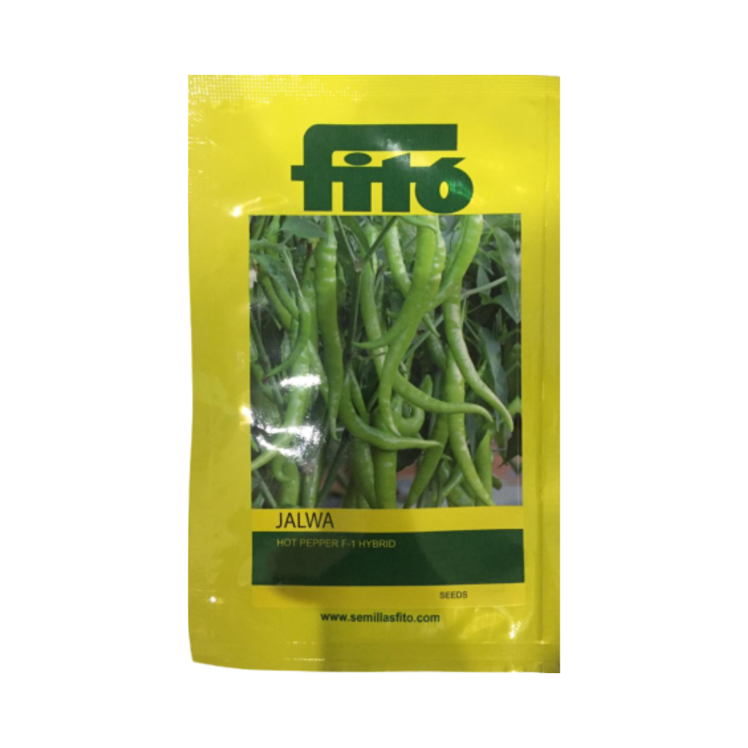 Jalwa Chilli Seeds - Fito | F1 Hybrid | Buy Online at Best Price