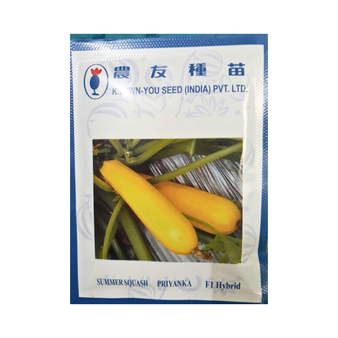 Priyanka Summer Squash Seeds - Known You | F1 Hybrid | Buy Online at Best Price