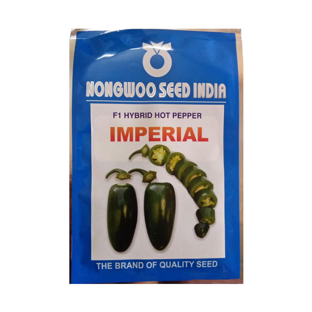 Imperial Jalapeno Hot Pepper Seeds - Nongwoo | F1 Hybrid | Buy Online at Best Price