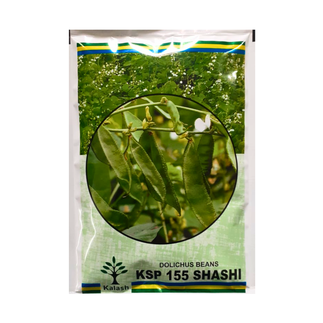 KSP-155 Shashi Dolichos Beans - Kalash | F1 Hybrid | Buy Online at Best Price