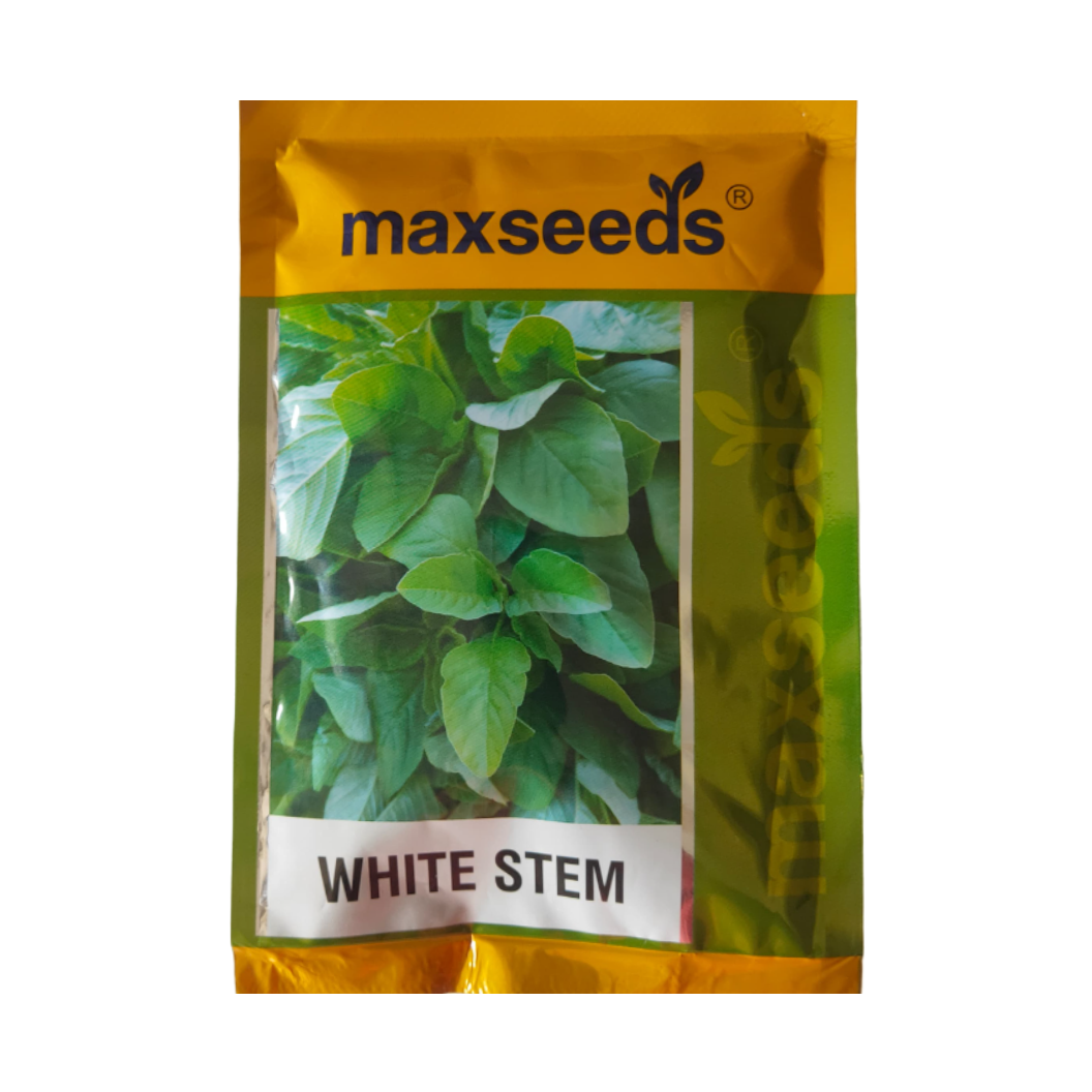 White Stem Amaranthus Seeds - Max | F1 Hybrid | Buy Online at Best Price