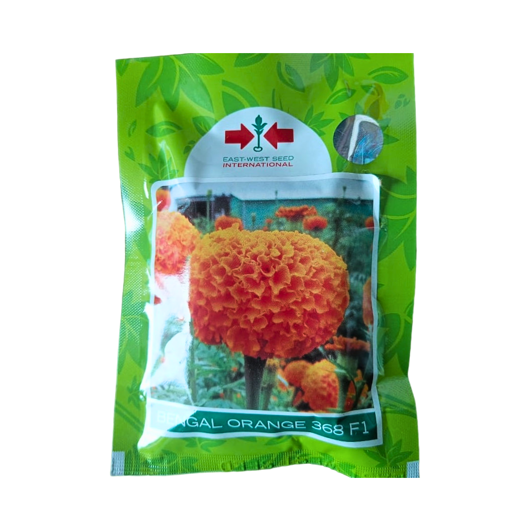 east west marigold seeds Bengal Orange 368 Marigold Seeds - East West | F1 Hybrid