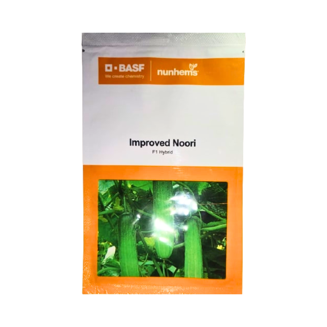 Improved Noori Cucumber Seeds - Nunhems | F1 Hybrid | Buy Online at Best Price