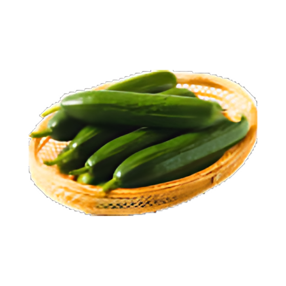 Infinity Cucumber Seeds - Nunhems | F1 Hybrid | Buy Online at Best Price