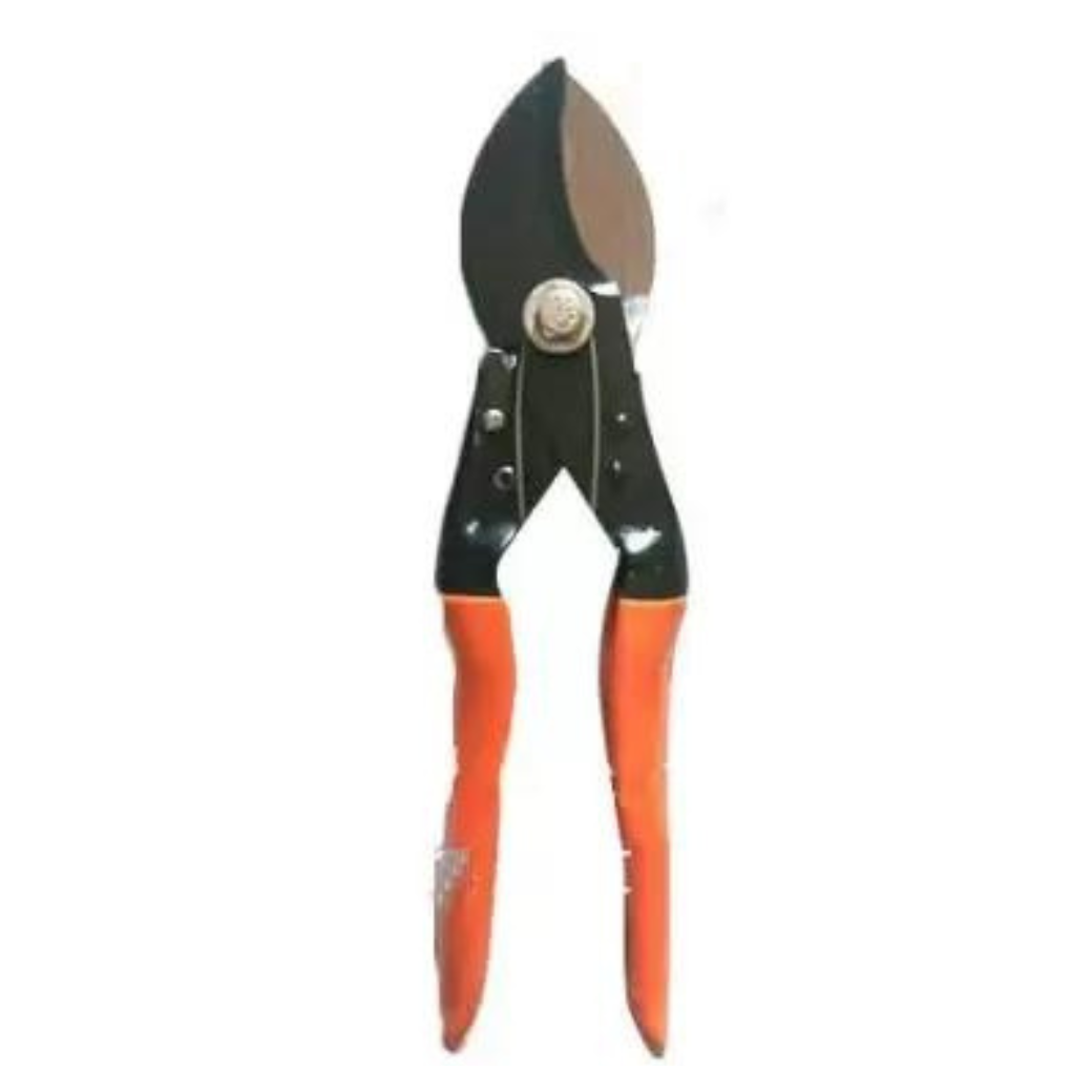 Double Cut Pruning Seacteur | Buy Online At Best Price