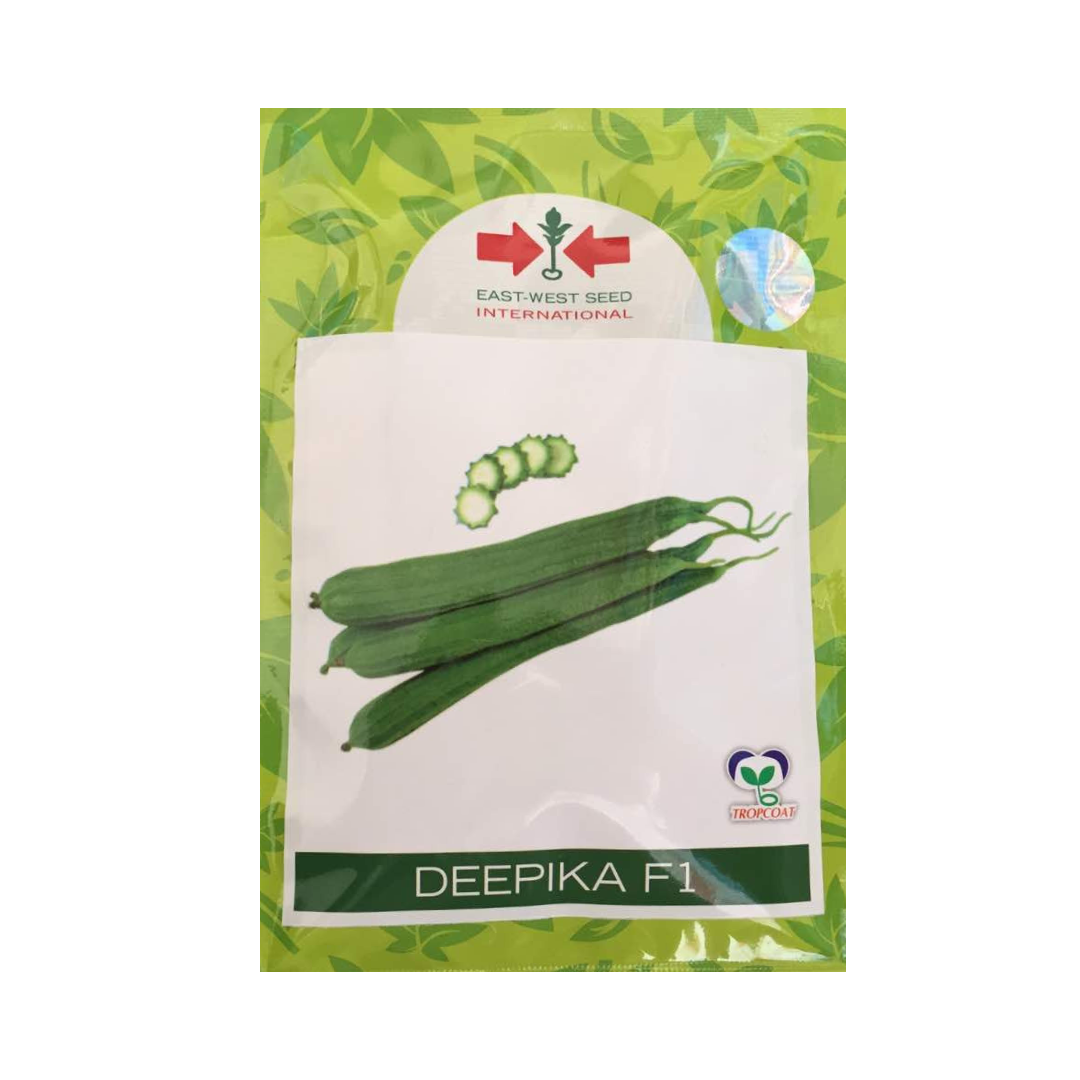 Deepika Ridge Gourd Seeds - East West | F1 Hybrid | Buy Online at Best Price