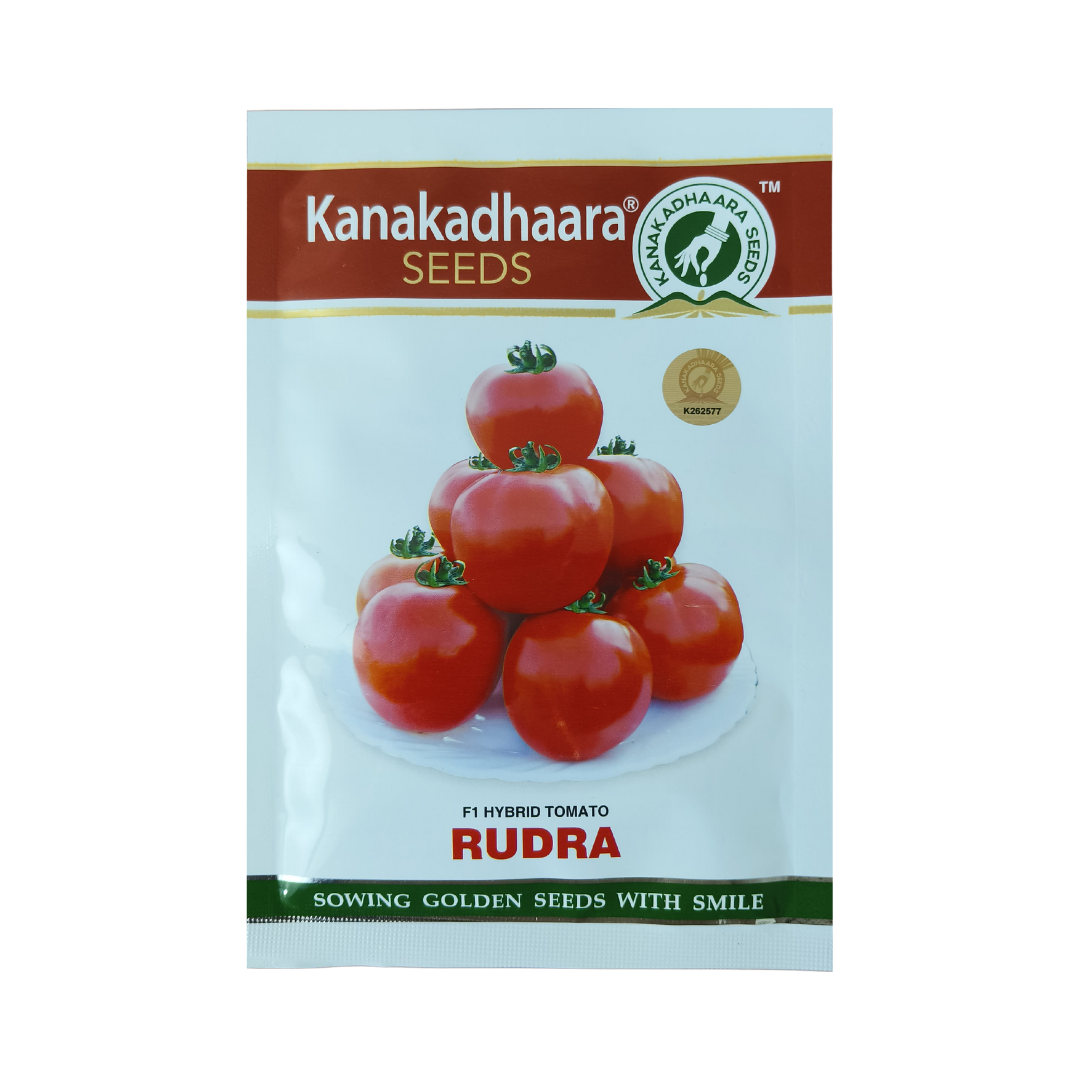 Rudra Tomato Seeds