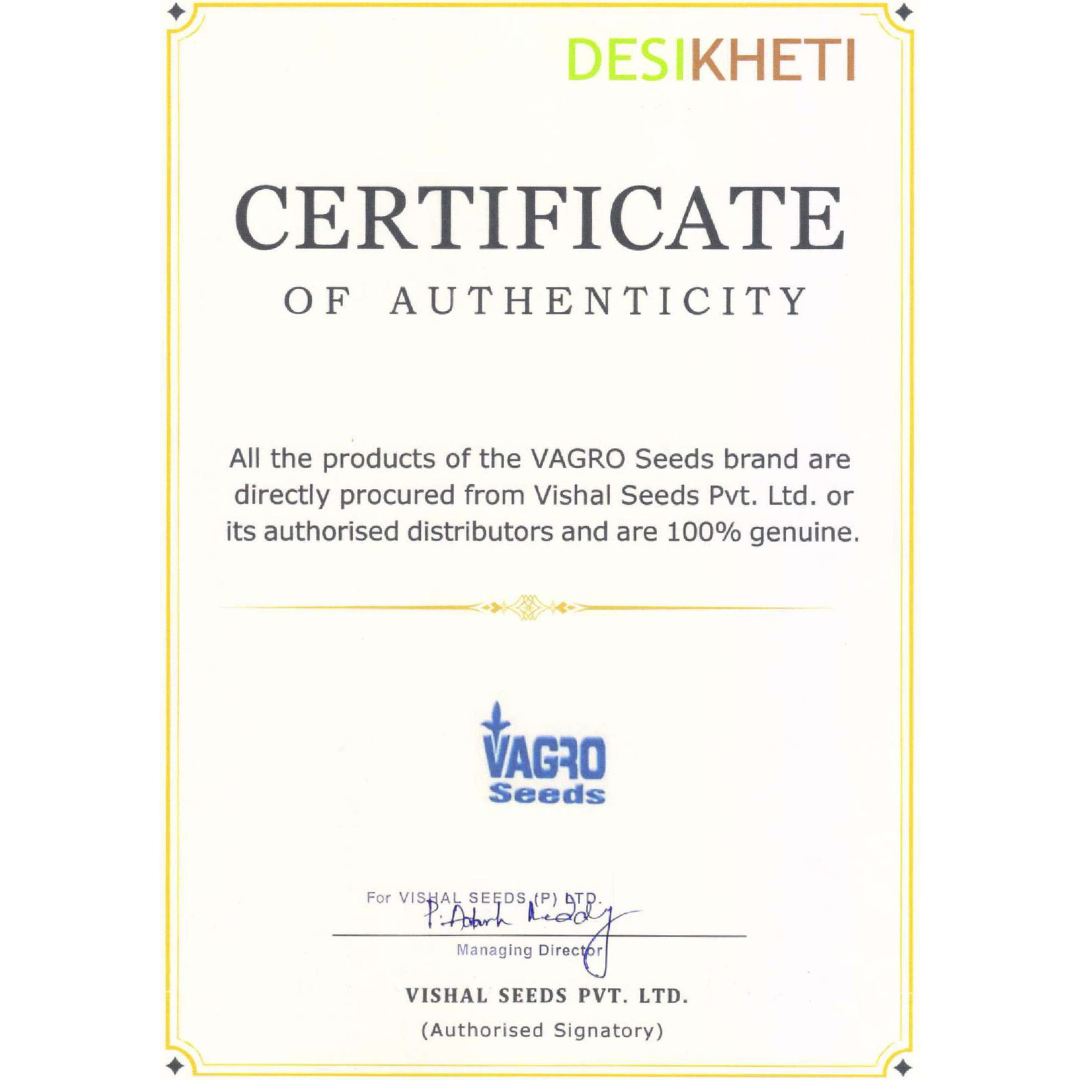 VAGRO CERTIFICATE OF AUTHENTICITY