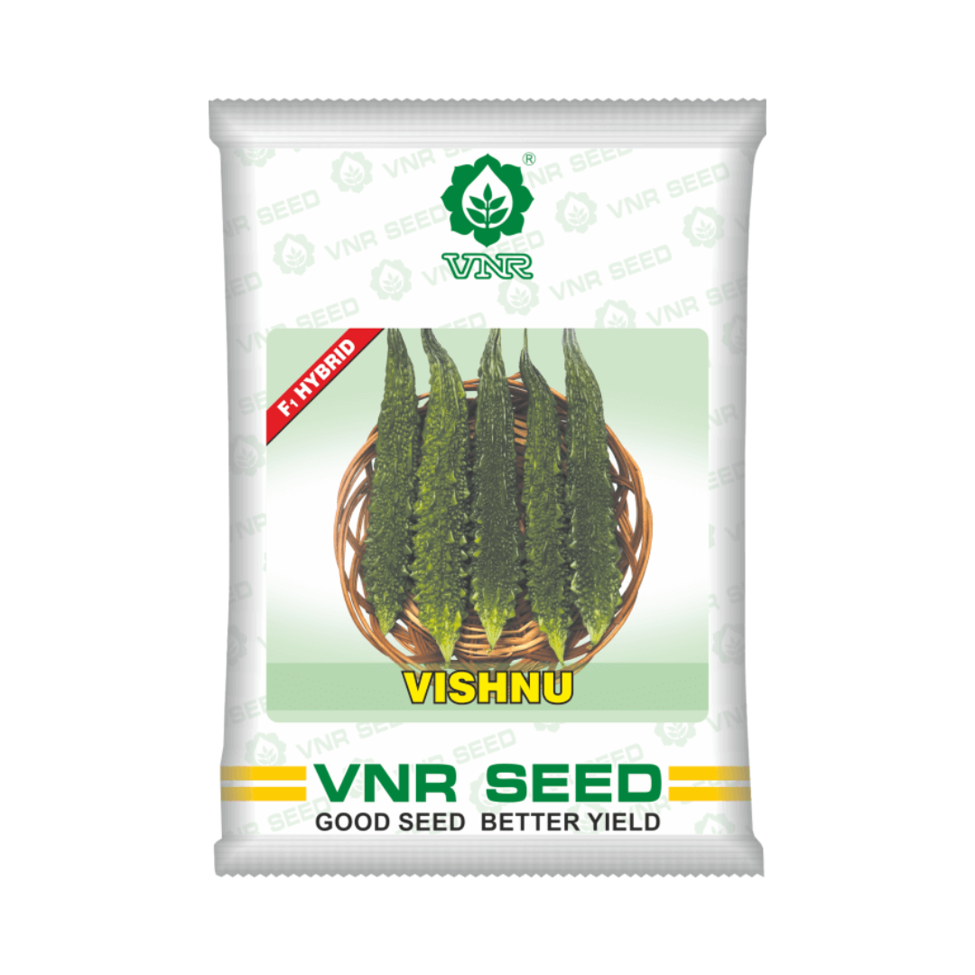 Vishnu Bitter Gourd Seeds - VNR | F1 Hybrid | Buy Online at Best Price
