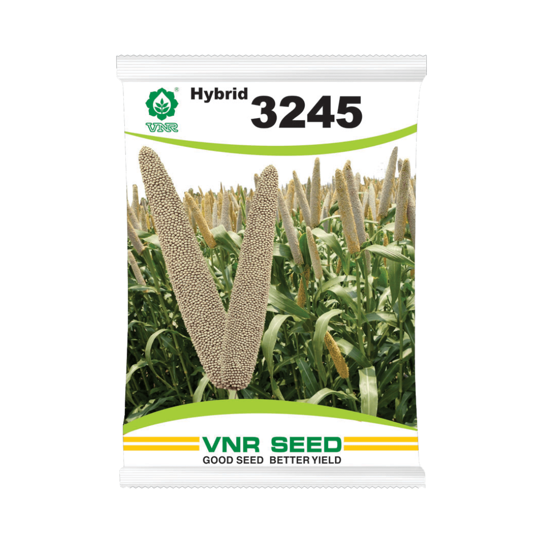 VNR 3245 Bajra Seeds | F1 Hybrid | Buy Online at Best Price - DesiKheti