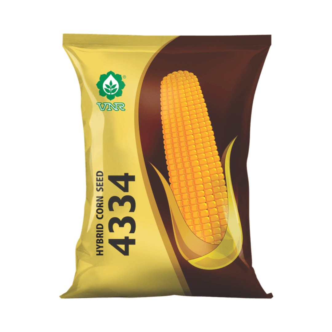 VNR 4334 Maize Seeds | F1 Hybrid | Buy Online at Best Price - DesiKheti