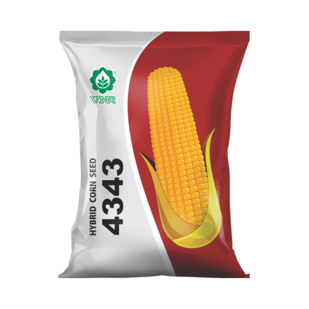 VNR 4343 Maize Seeds | F1 Hybrid | Buy Online at Best Price - DesiKheti