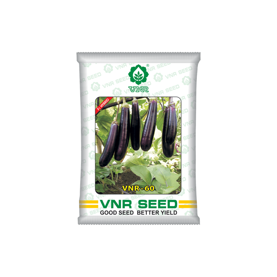 VNR 60 Brinjal Seeds - VNR | F1 Hybrid | Buy Online at Best Price Now