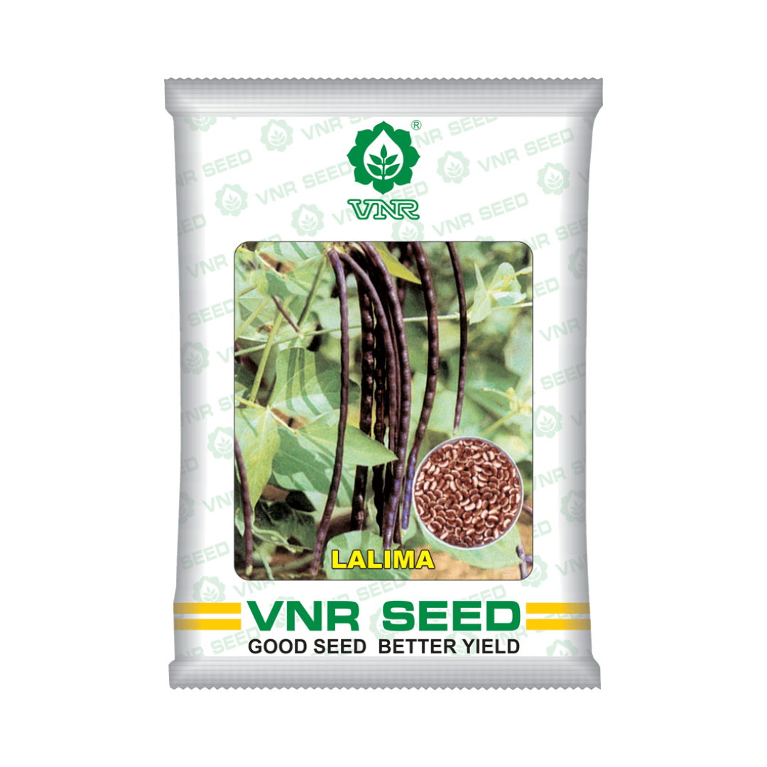 Lalima Cowpea Seeds - VNR | F1 Hybrid | Buy Online at Best Price Now