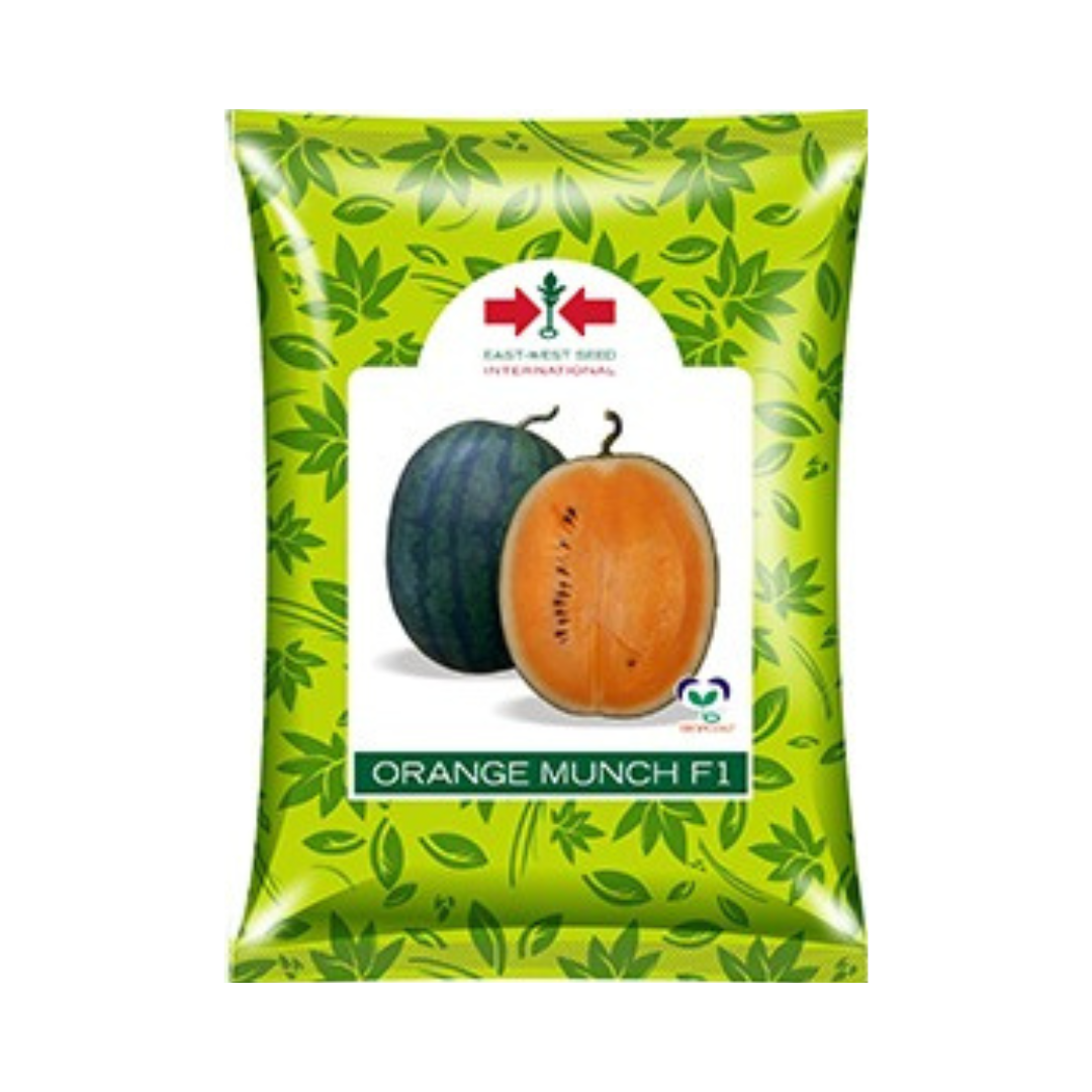 Orange Munch Watermelon Seeds - East West | F1 Hybrid | Buy Online at Best Price