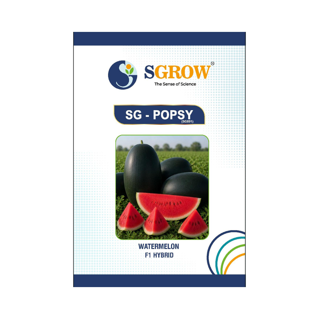 SG-Popsy Watermelon Seeds - SGrow | F1 Hybrid | Buy Online at Best Price