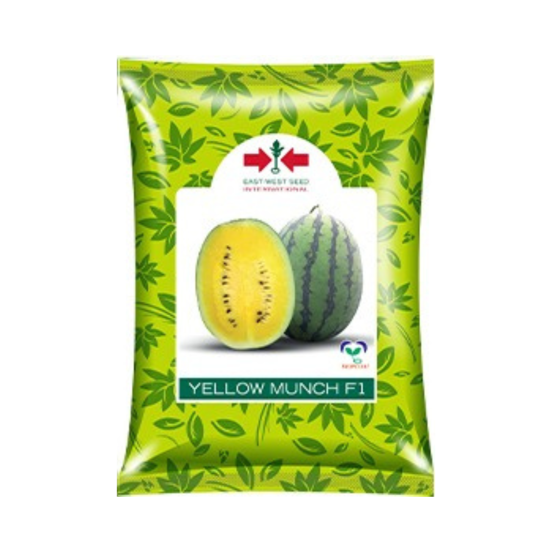 Yellow Munch Watermelon Seeds - East West | F1 Hybrid | Buy Online at Best Price