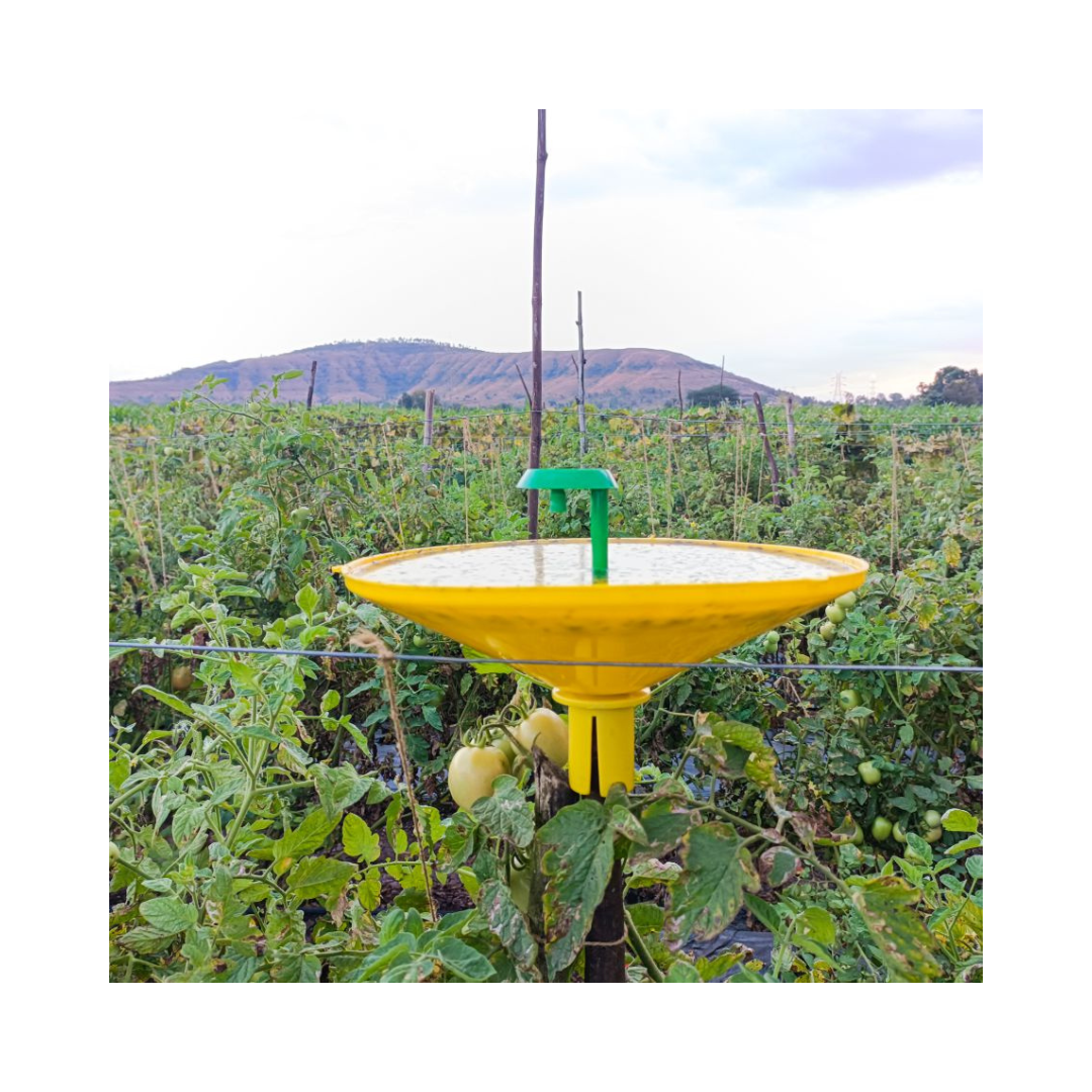 Water Trap With Tu Tom Lure - Green Revolution | Buy Online