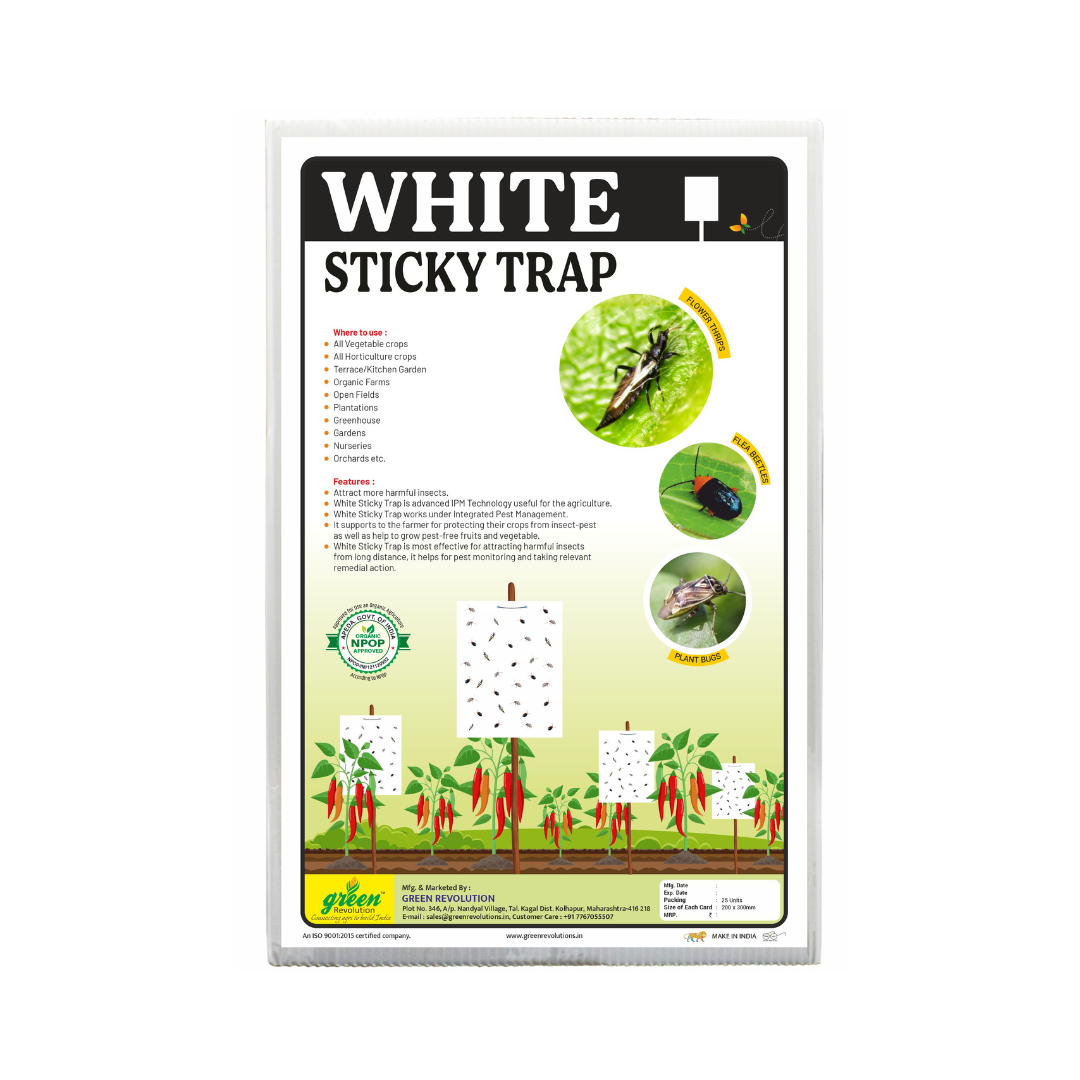 White Sticky Trap Size A4 - Green Revolution | Buy Online - DesiKheti