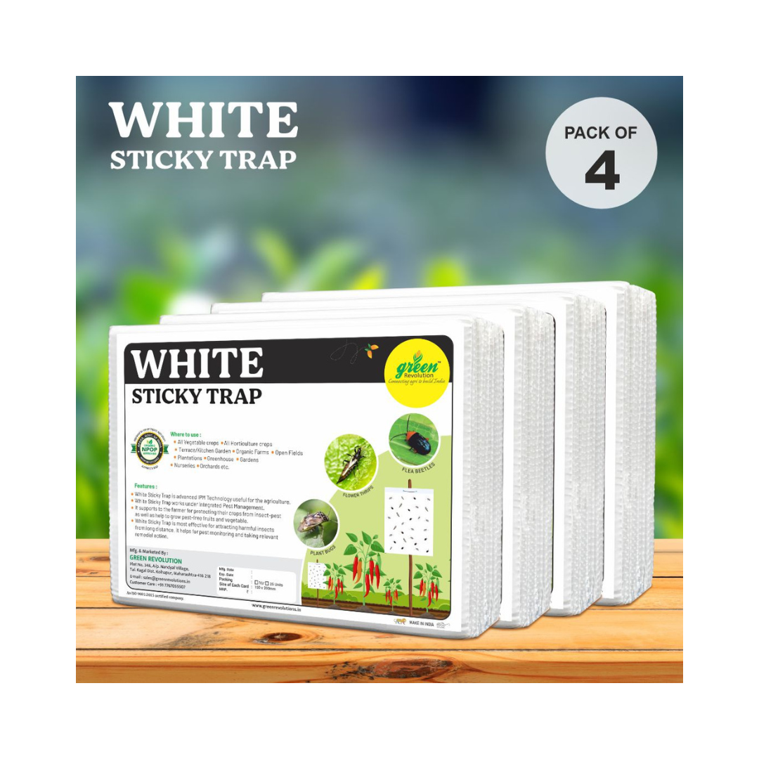 White Sticky Trap Size A5 - Green Revolution | Buy Online - DesiKheti