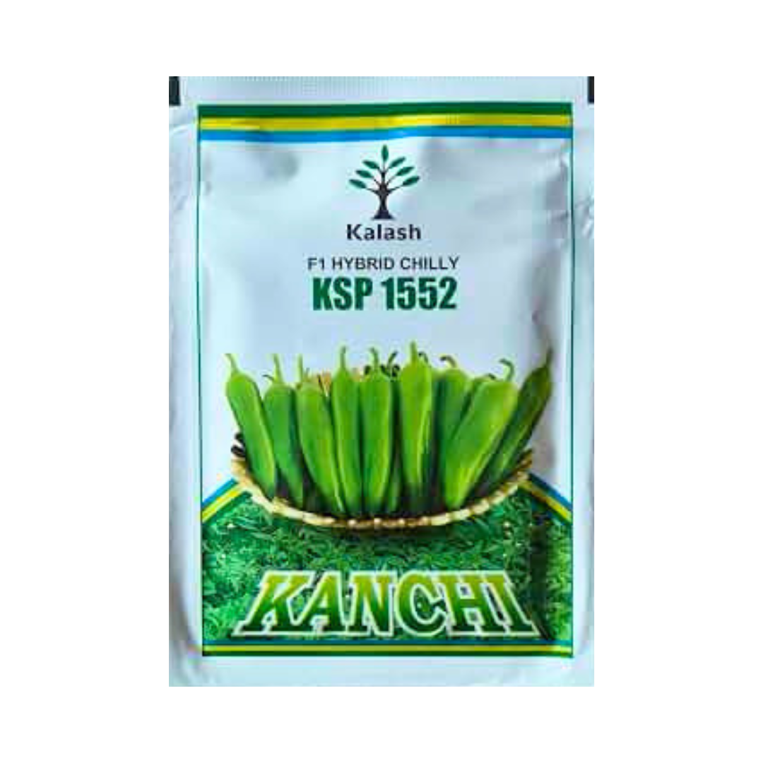 KSP 1552 Kanchi Chilli Seeds - Kalash | F1 Hybrid | Buy Online at Best Price