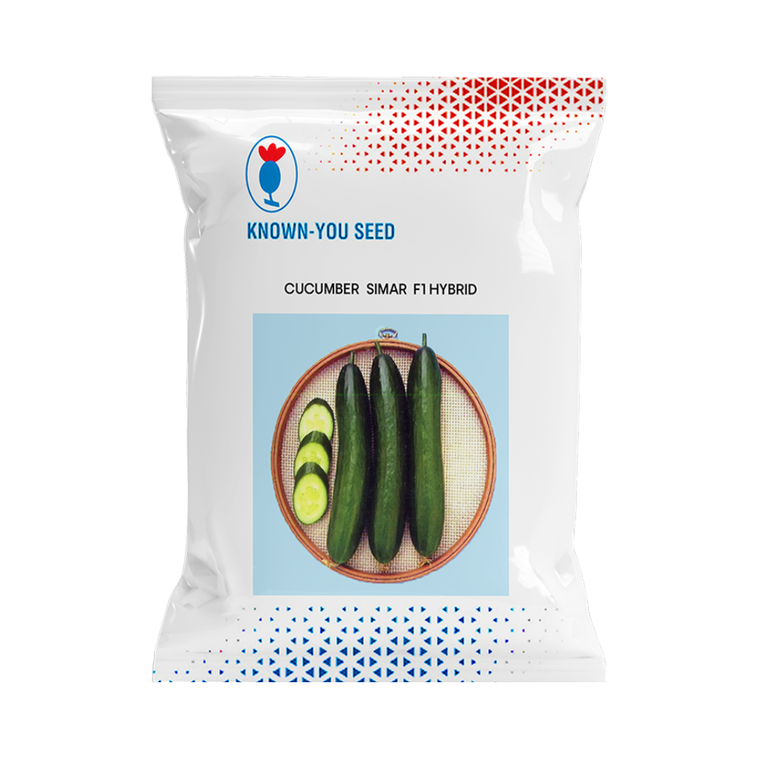 Simar Cucumber Seeds - Known You | F1 Hybrid | Buy Online at Best Price