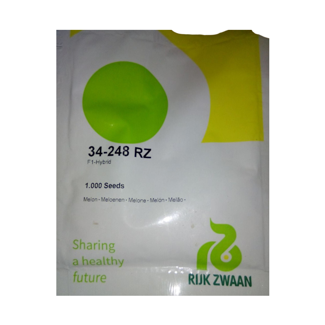 34-248 RZ Muskmelon Seeds - Rijk Zwaan | F1 Hybrid | Buy Online Now