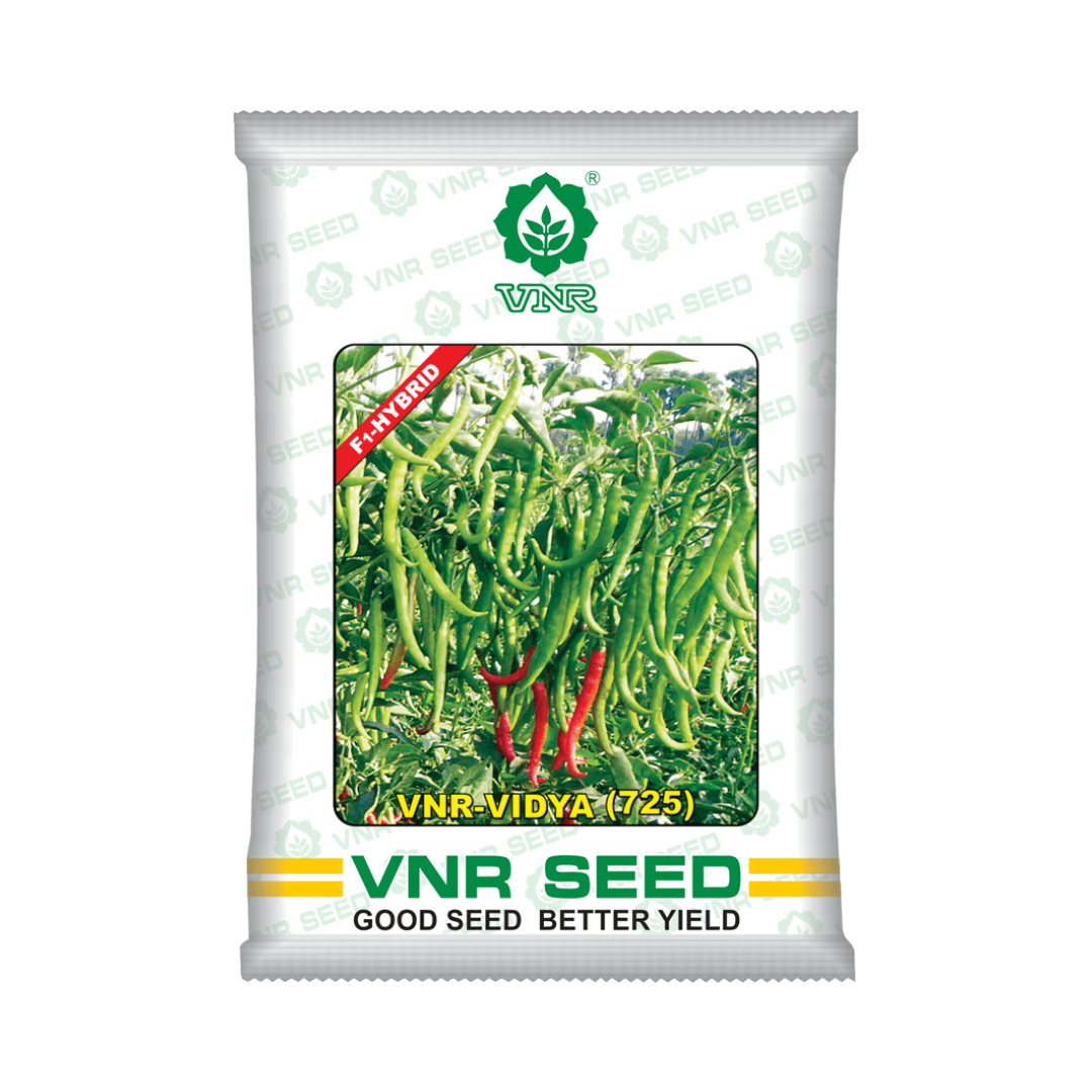 VNR Vidya (725) Chilli Seeds | F1 Hybrid | Buy Online at Best Price
