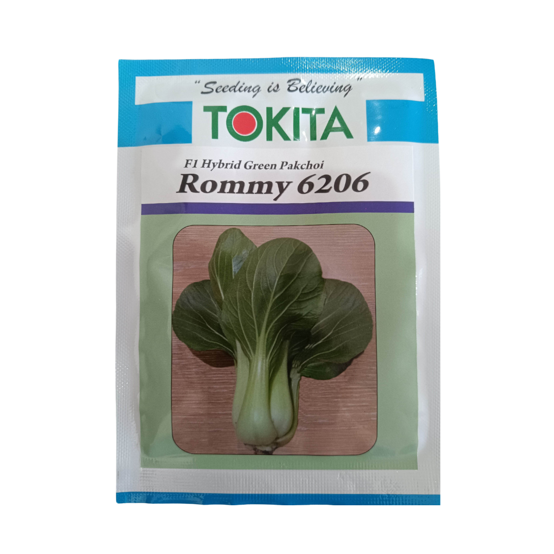 Rommy 6206 Green Pakchoi Seeds - Tokita | F1 Hybrid | Buy Online Now
