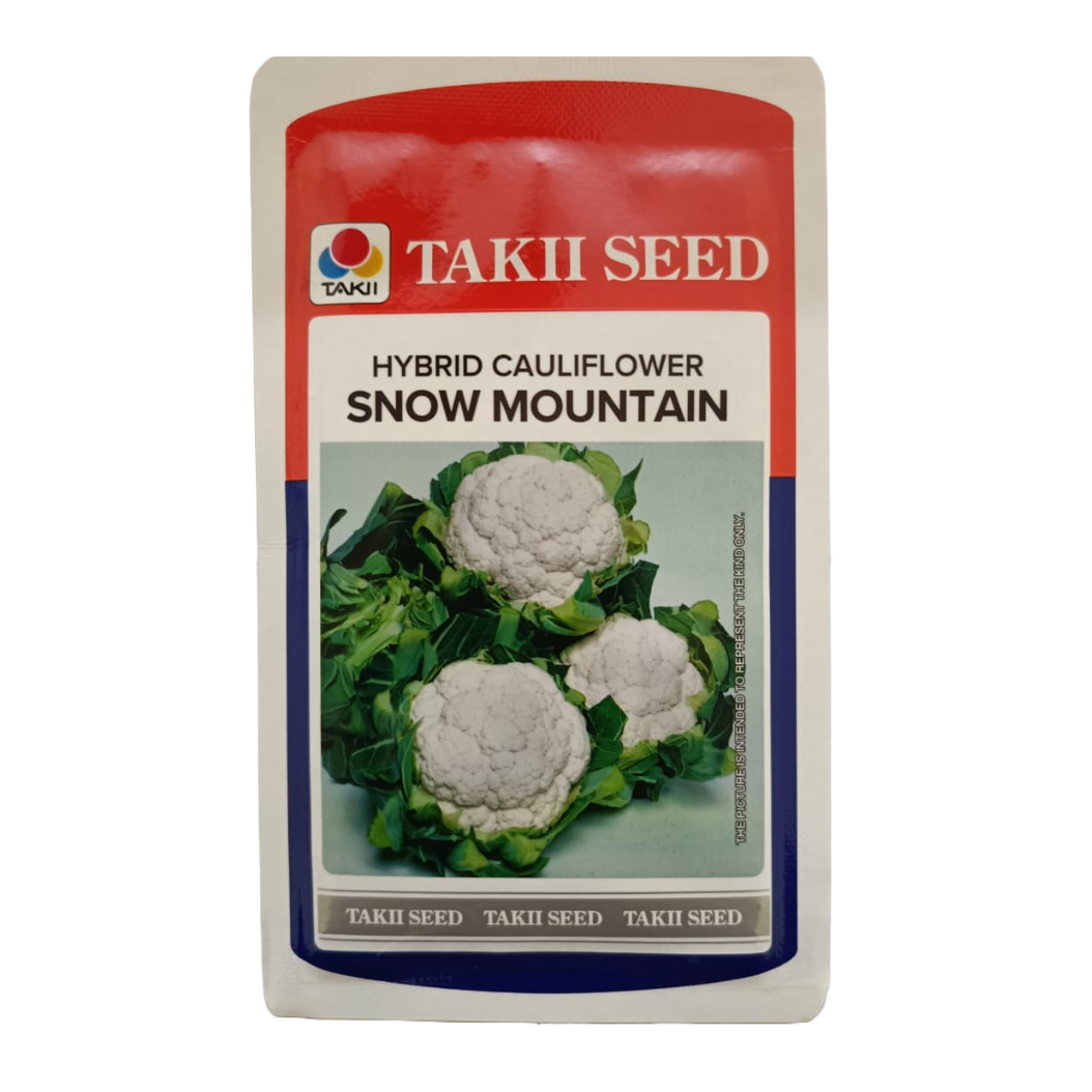 Snow Mountain Cauliflower Seeds | Buy Online At Best Price