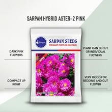 Sarpan Ast - 2 Aster Seeds | F1 Hybrid | Buy Online at Best Price