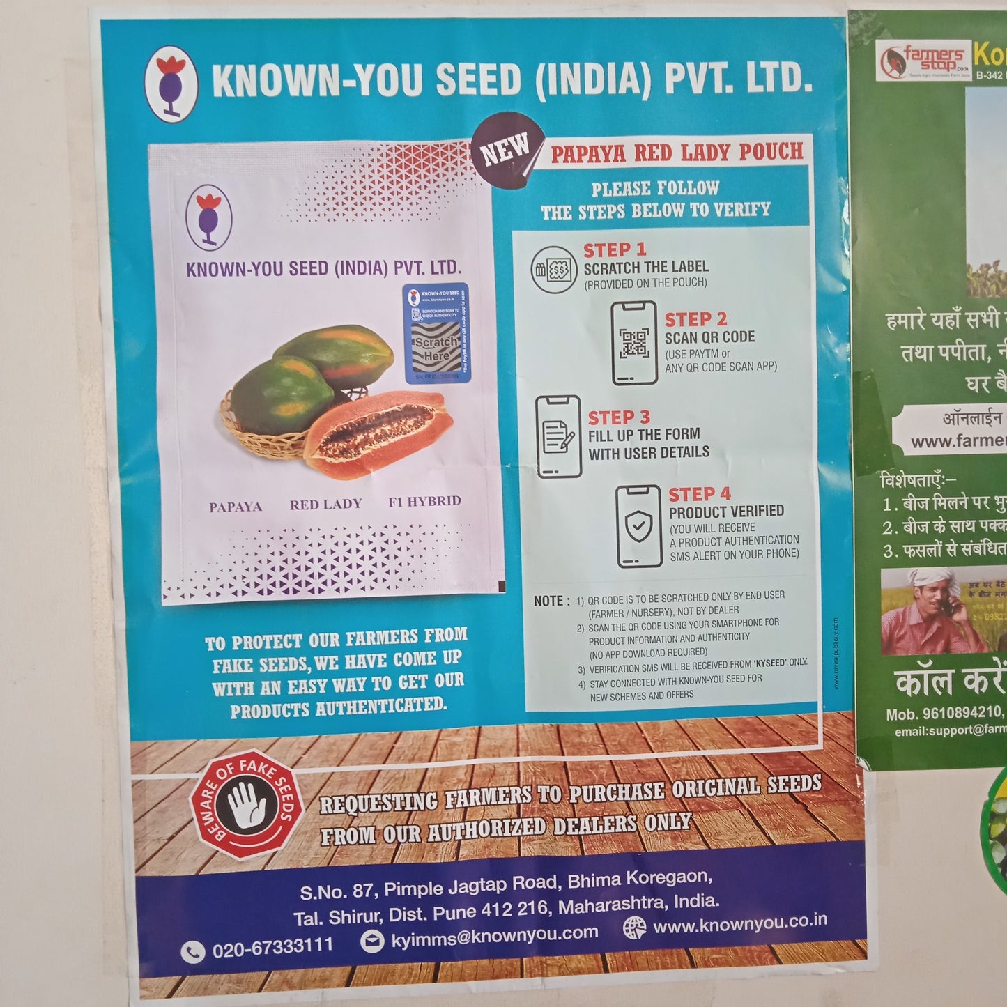 Red Lady Papaya Seeds - Known You | F1 Hybrid | Buy Online at Best Price