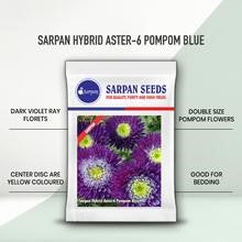 Sarpan Aster - 6 Pompom Blue Seeds | F1 Hybrid | Buy Online at Best Price Edit alt text