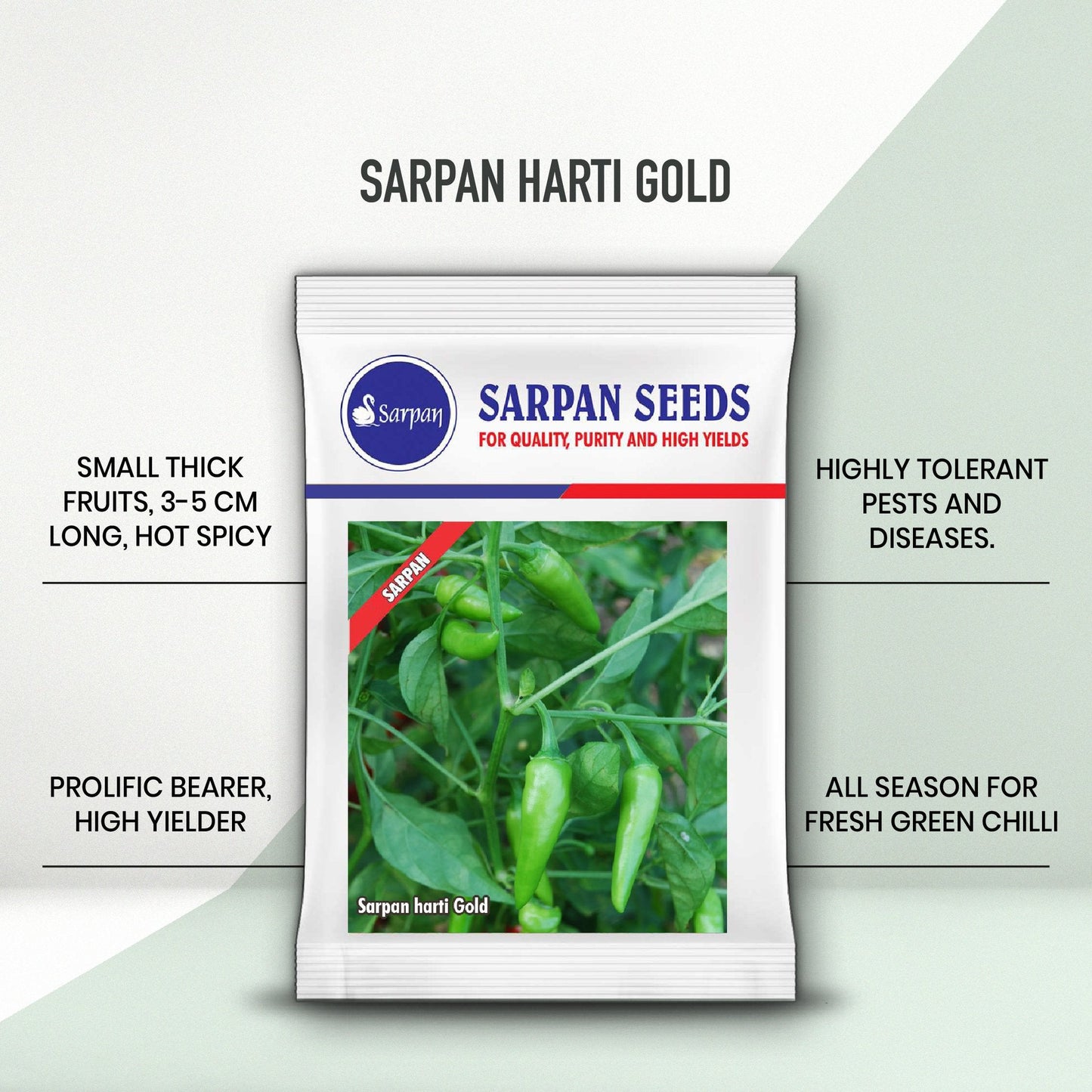 Sarpan Harti Gold Chilli Seeds | F1 Hybrid | Buy Online at Best Price