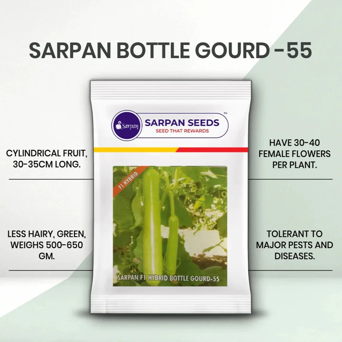 Sarpan - 55 Bottle Gourd Seeds | F1 Hybrid | Buy Online at Best Price