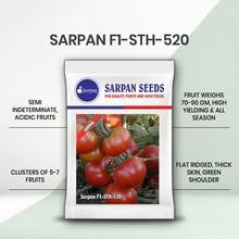 Sarpan STH - 520 Tomato Seeds | F1 Hybrid | Buy Online at Best Price