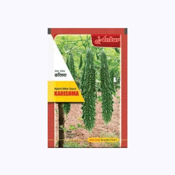 Karishma Bitter Gourd Seeds - Ankur | F1 Hybrid | Buy Online Now