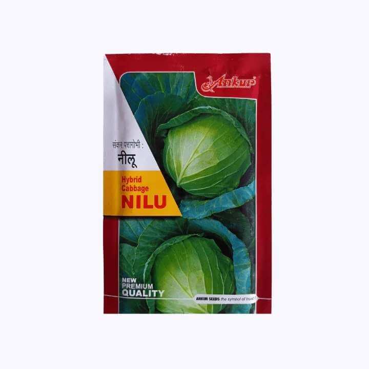 Nilu Cabbage Seeds - Ankur | F1 Hybrid | Buy Online at Best Price