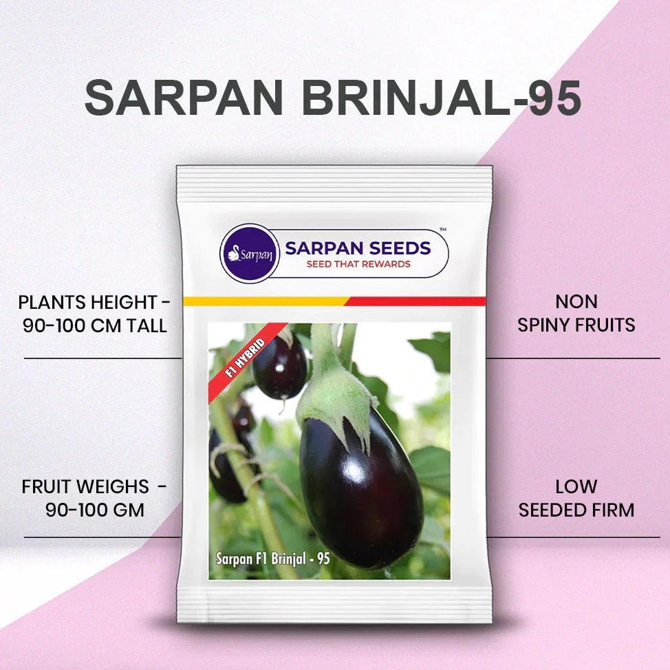 Sarpan - 95 Brinjal Seeds | F1 Hybrid | Buy Online at Best Price