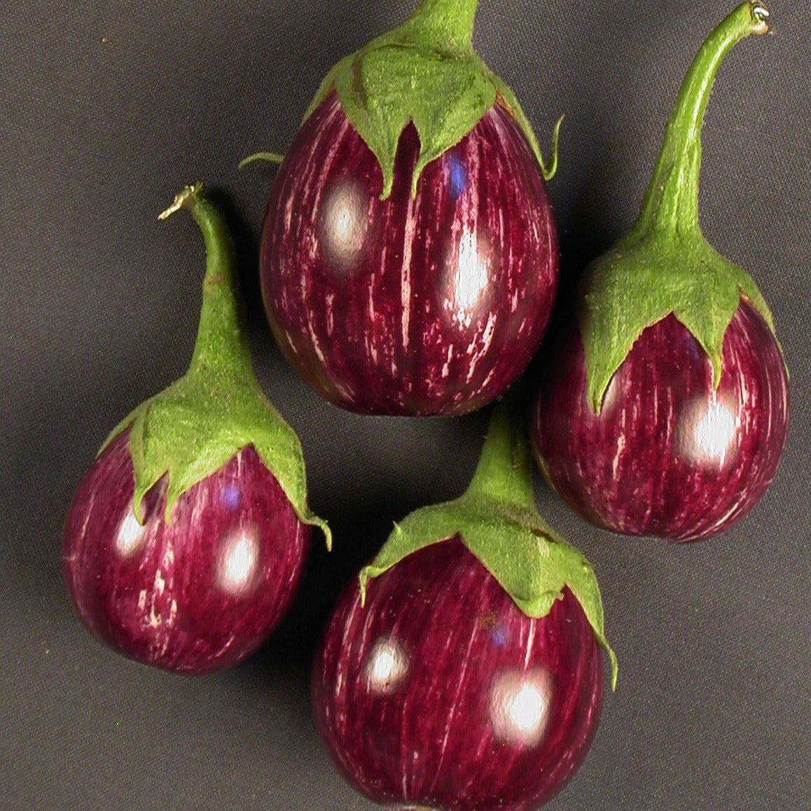 Sarpan - 55 Brinjal Seeds | F1 Hybrid | Buy Online at Best Price