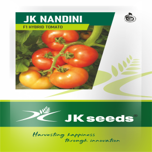 JK Nandini Tomato Seeds (Acidic) | F1 Hybrid | Buy Online at Best Price