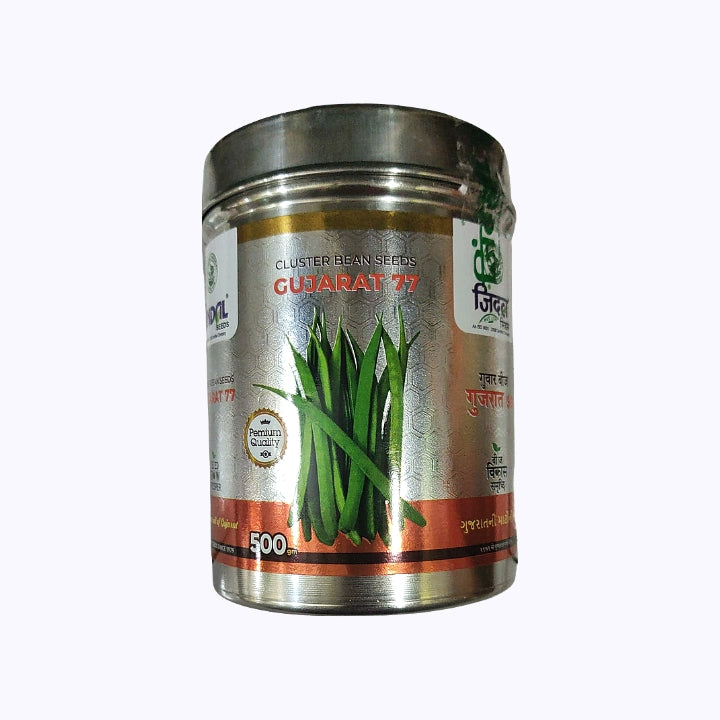 Gujarat 77 Cluster Beans Seeds - Jindal Seeds | F1 Hybrid | Buy Online Now