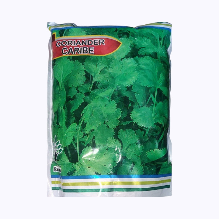 Caribe Coriander Seeds - Kalash | F1 Hybrid | Buy Online at Best Price