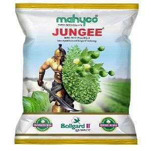 JUNGEE Cotton seeds - Mahyco | F1 Hybrid | Buy Online at Best Price