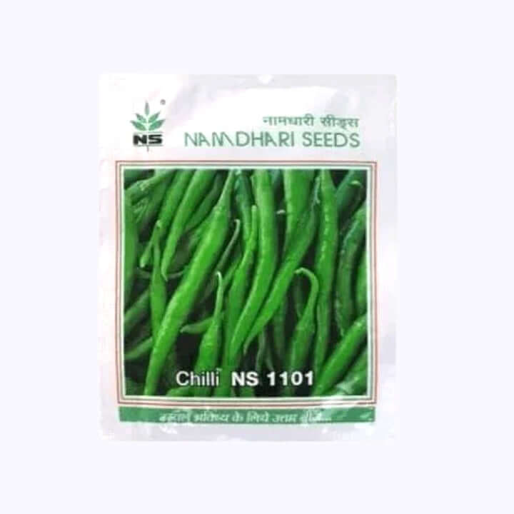 NS 1101 Chilli Seeds - Namdhari | F1 Hybrid | Buy Online - DesiKheti